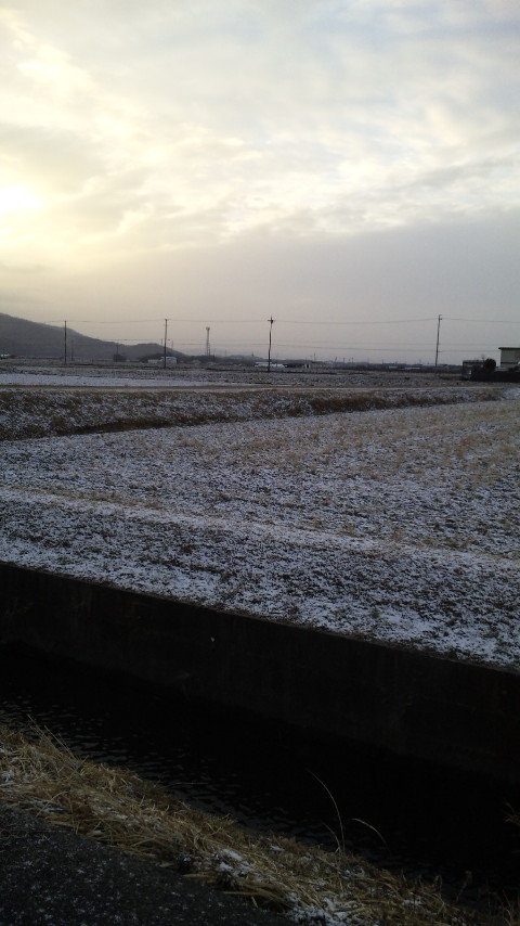 ������blog