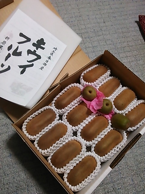 ������blog