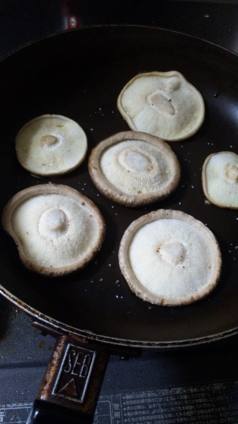 ������blog