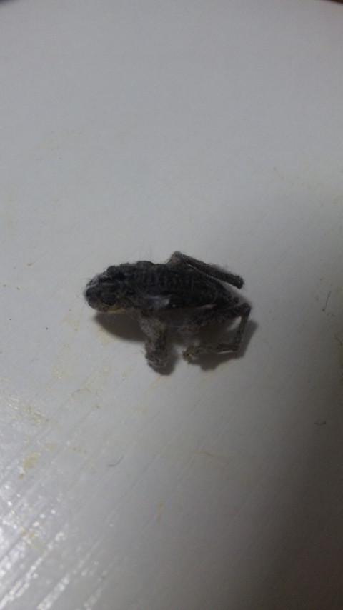 ������blog