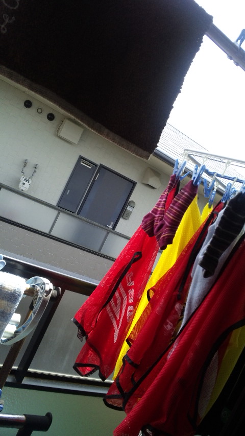 ������blog