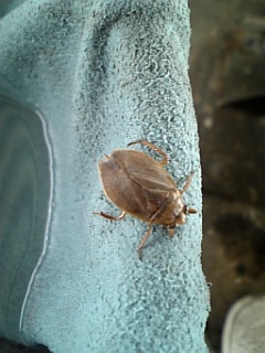 ������blog