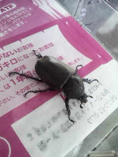 ������blog