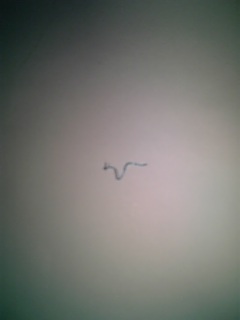 ������blog