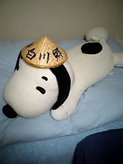 ������blog