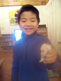 ������blog