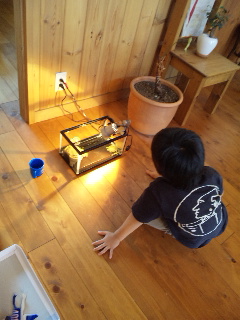 ������blog