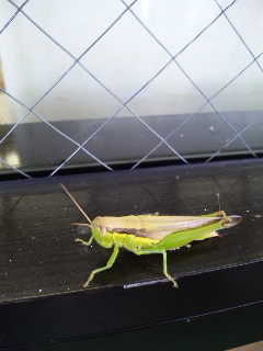 ������blog