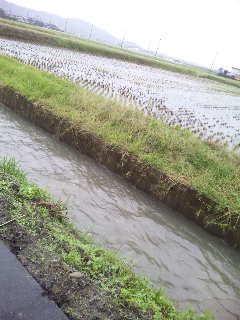 ������blog