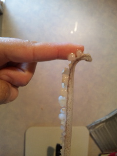 ������blog