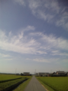 ������blog