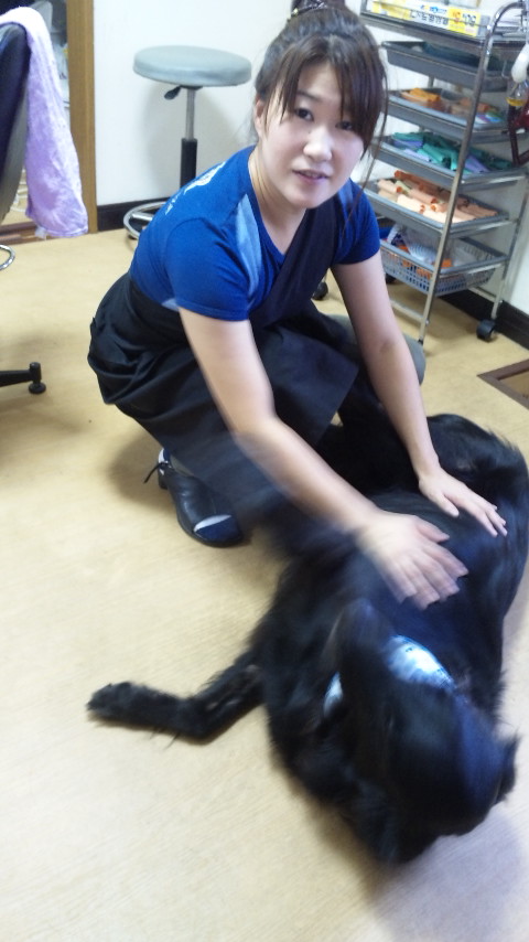 ������blog