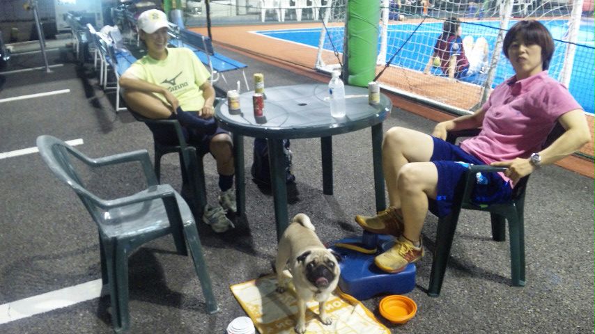 ������blog