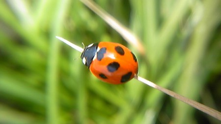 ������blog