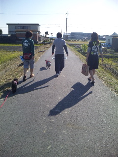 ������blog