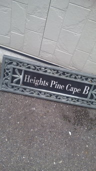 ������blog