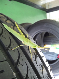 ������blog