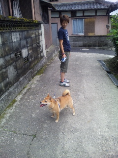 ������blog