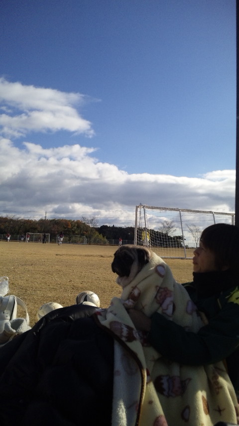 ������blog