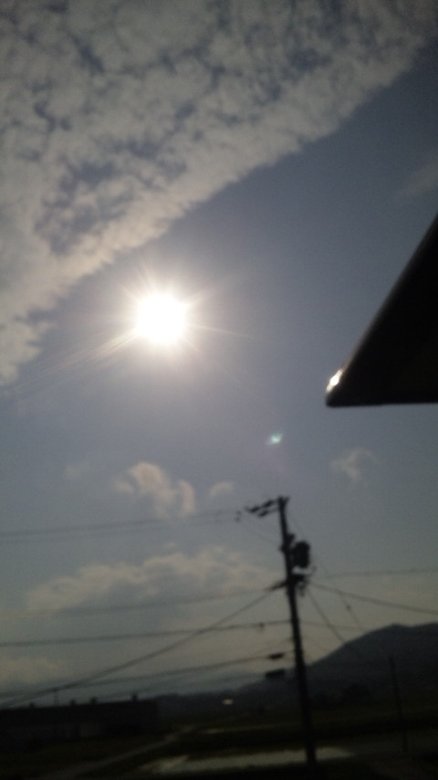 ������blog