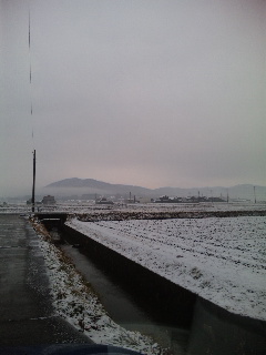 ������blog