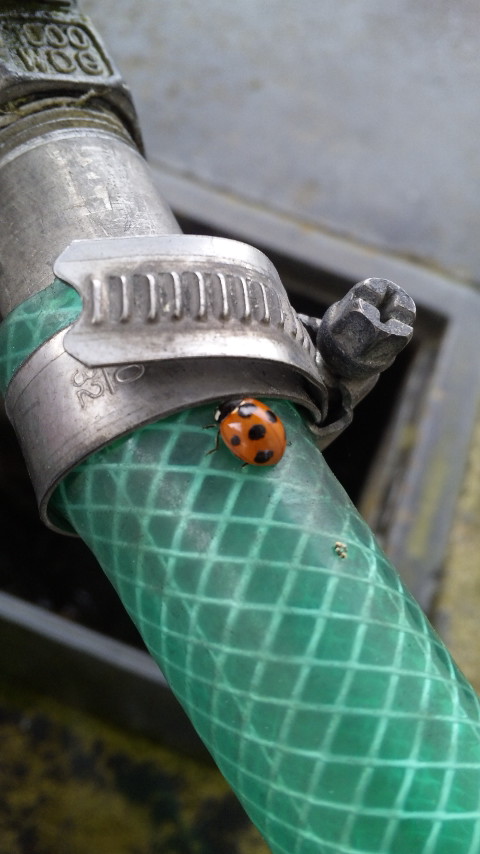 ������blog