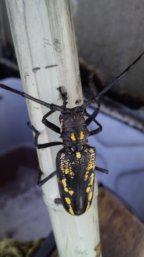 ������blog