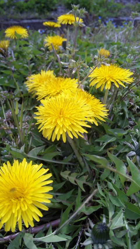 ������blog