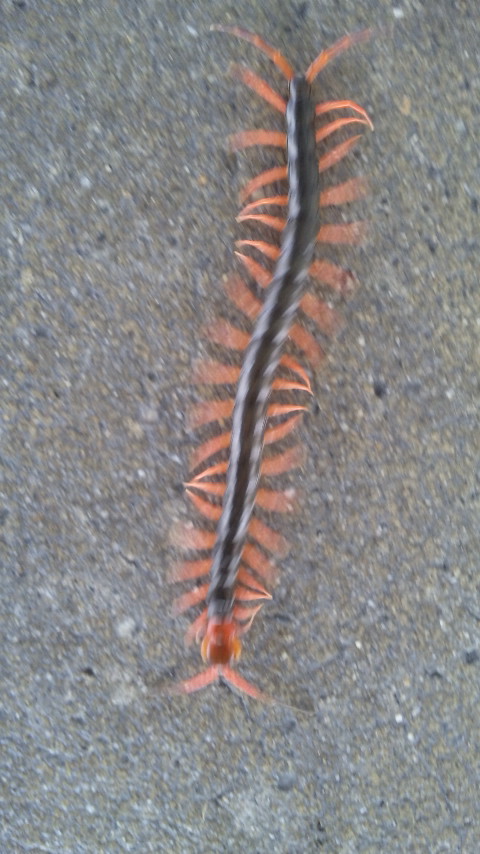 ������blog