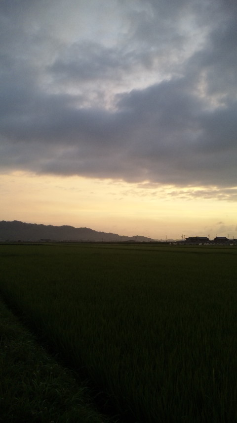 ������blog