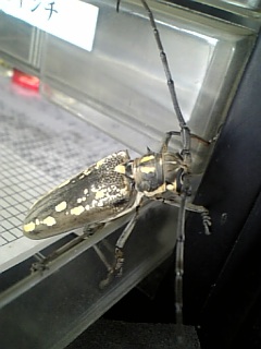 ������blog