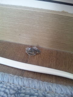 ������blog