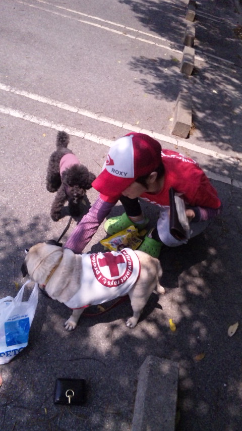 ������blog