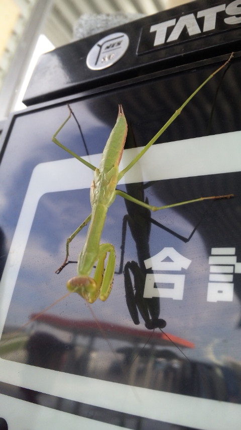 ������blog