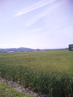 ������blog