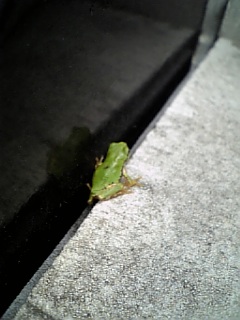 ������blog