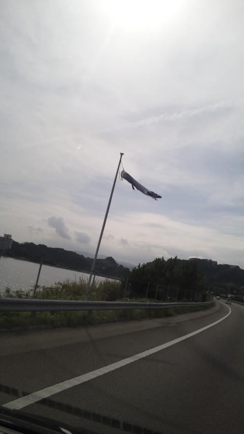 ������blog