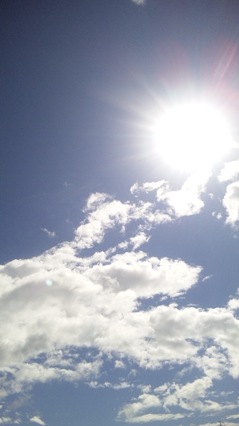 ������blog