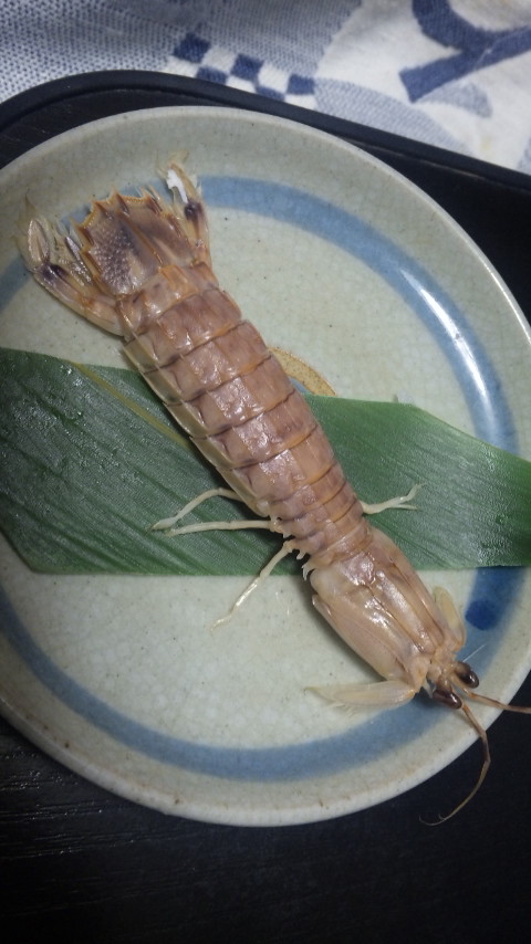 ������blog