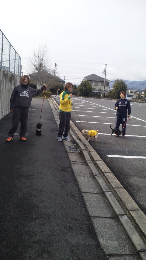 ������blog