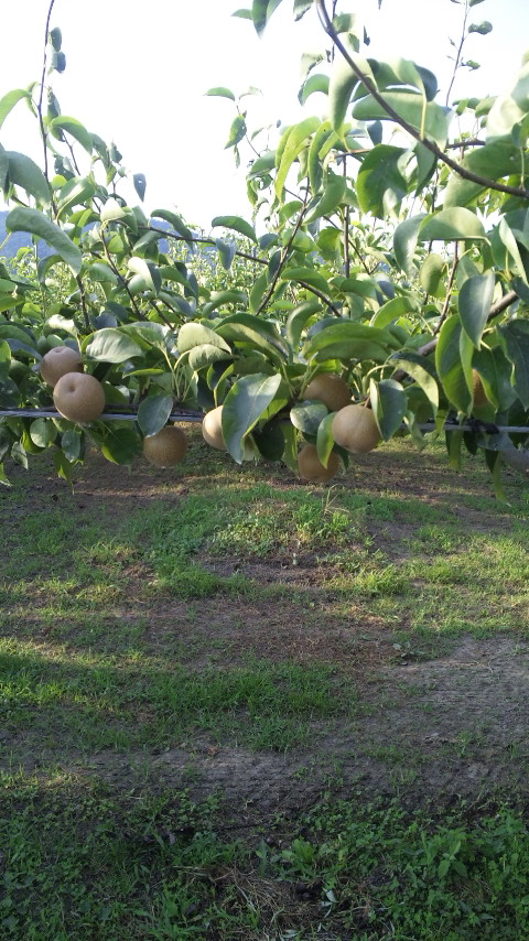 ������blog