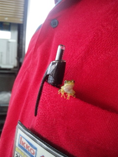 ������blog