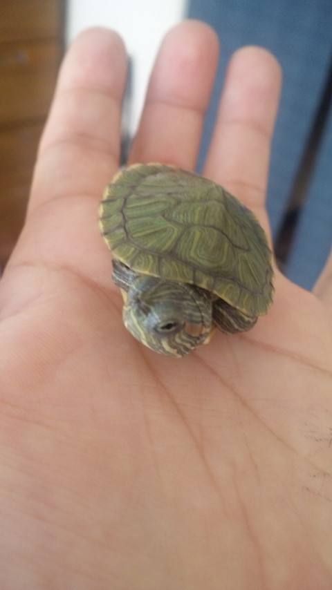 ������blog