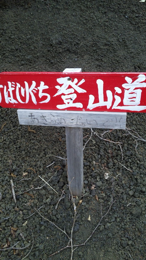 ������blog