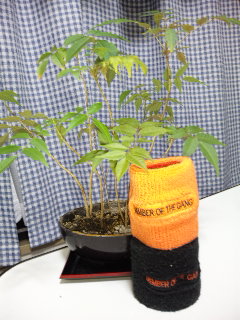 ������blog