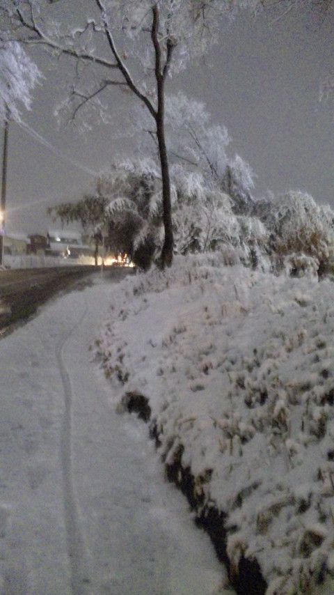 ������blog