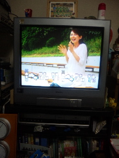 ������blog