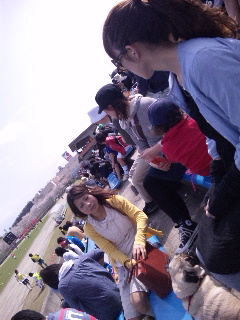 ������blog