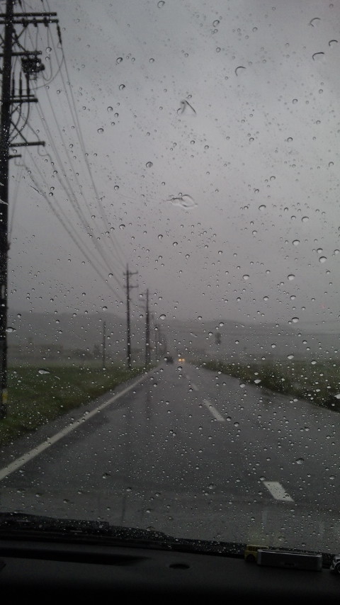 ������blog