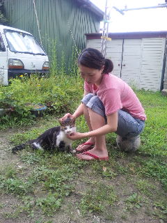 ������blog